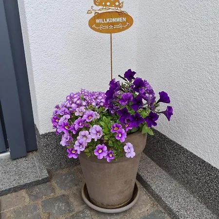 Hennemann Apartmán Schmallenberg