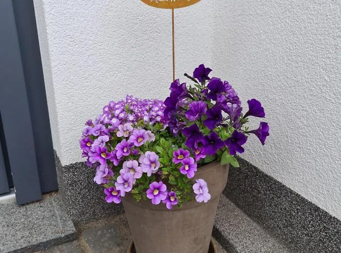 Hennemann Apartament Schmallenberg